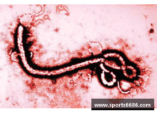 埃博拉病毒：全球威胁与科学团队的应对挑战